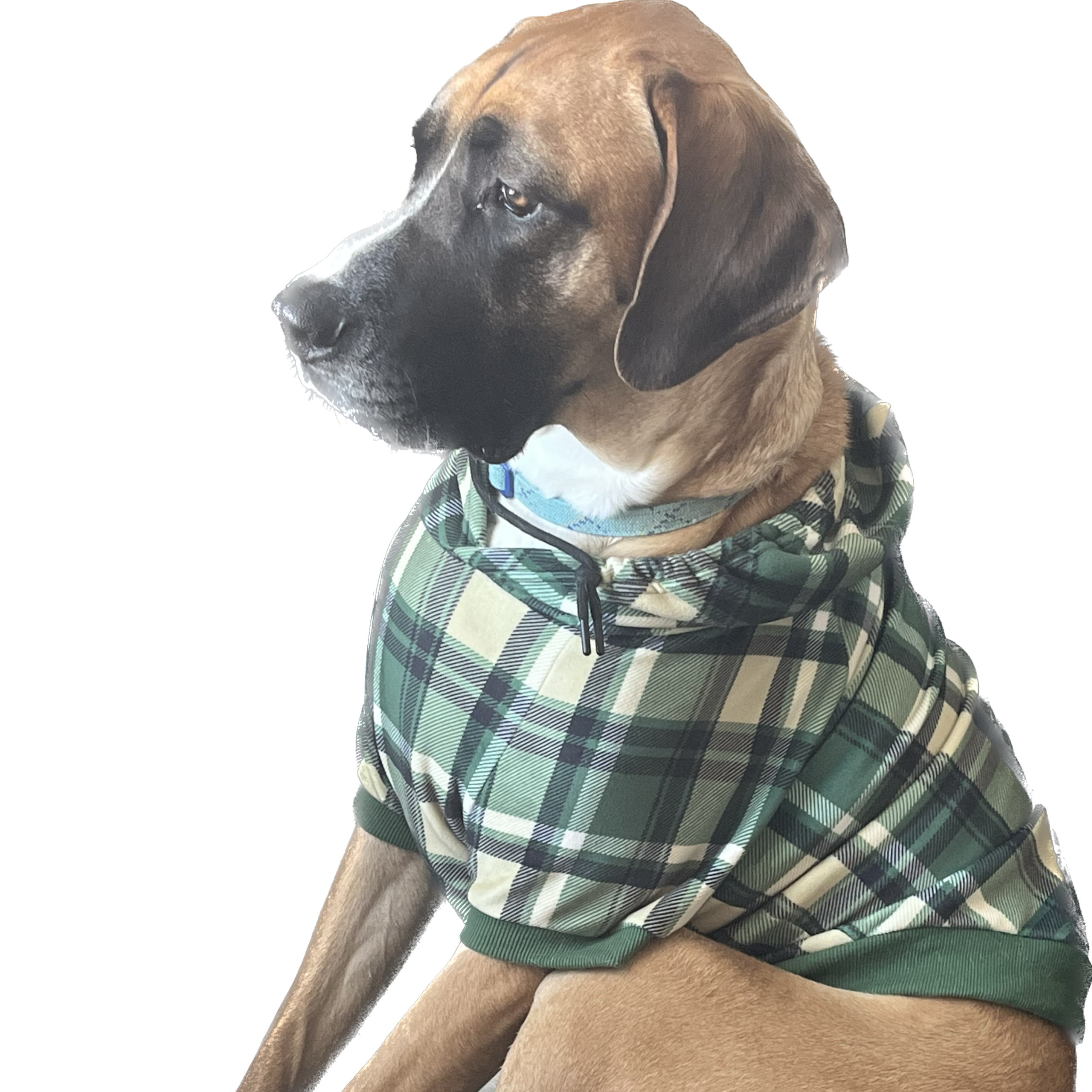 happyfamilydogblog.com